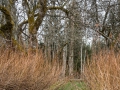 Gärdstorp i västra Karsbo