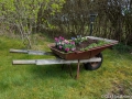 Blomsterskottkärra