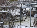 20231128-vinterhos-honsen